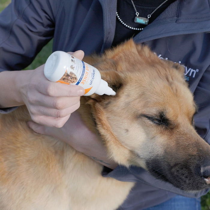 Antimicrobial All Animal Ear Rinse