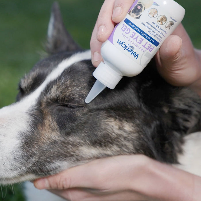 Antimicrobial Pet Eye Gel