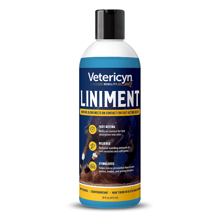 Equine Liniment for Horses