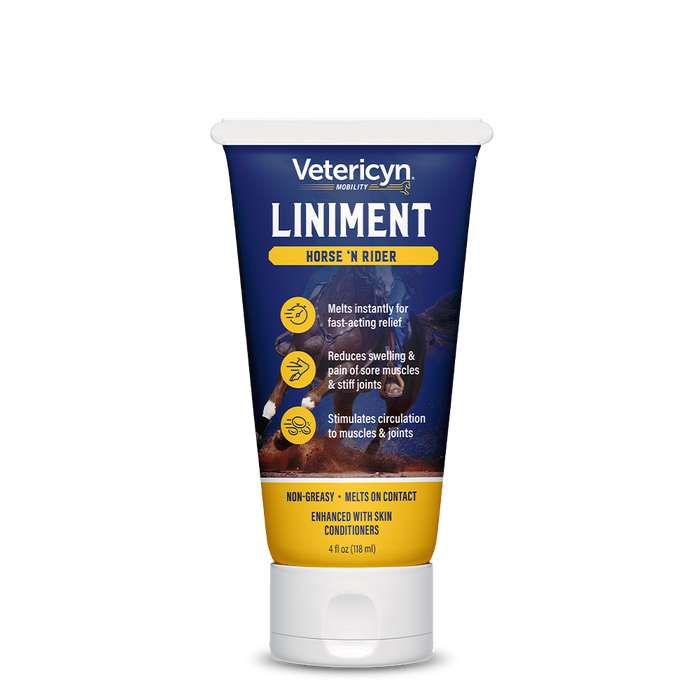 Equine Liniment for Horses