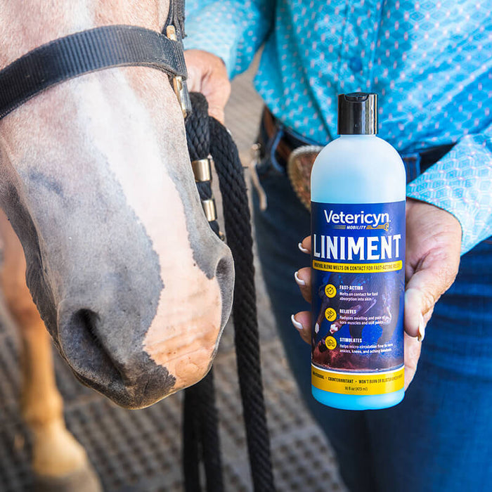 Equine Liniment for Horses