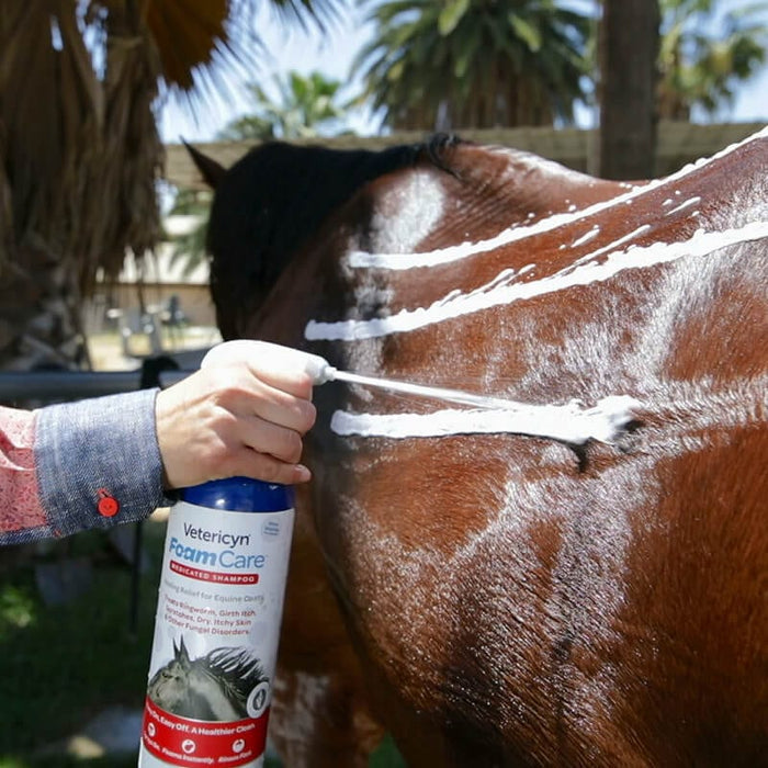Equine Medicated Spray-On Shampoo