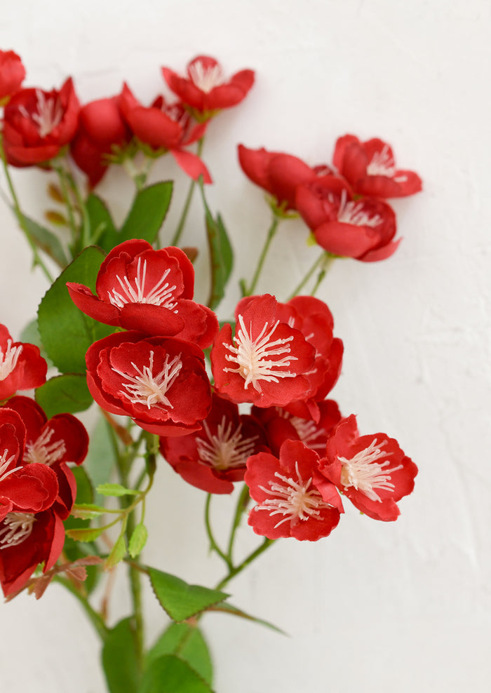 Red artificial flowers with green leaves on a white background