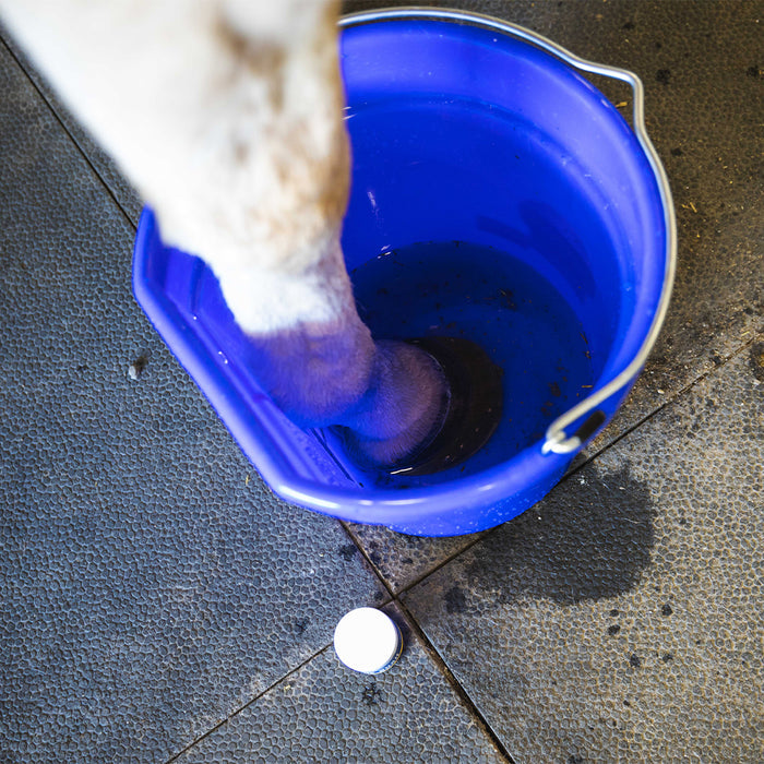 Hoof Soak