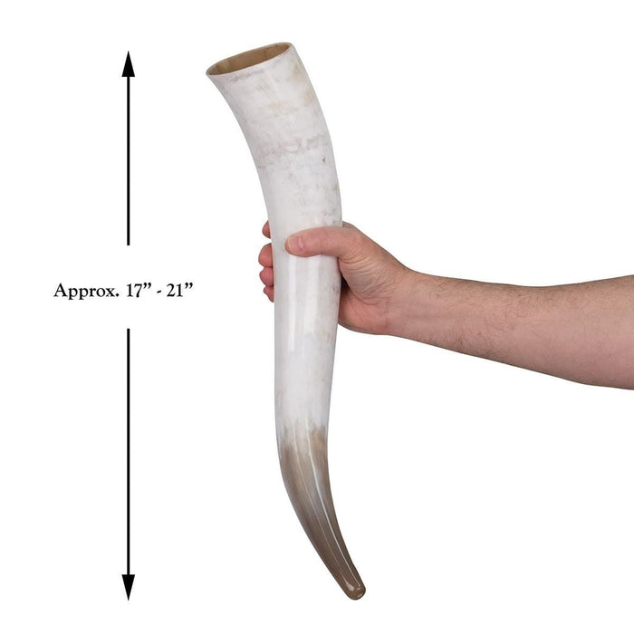 Loki's Oversized Drinking Horn with Stand