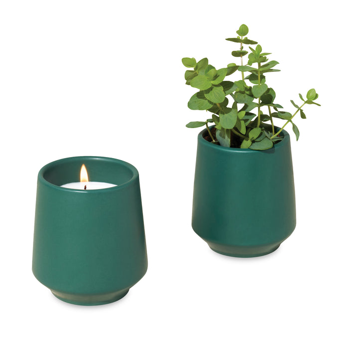 Modern Sprout® Rooted Candle