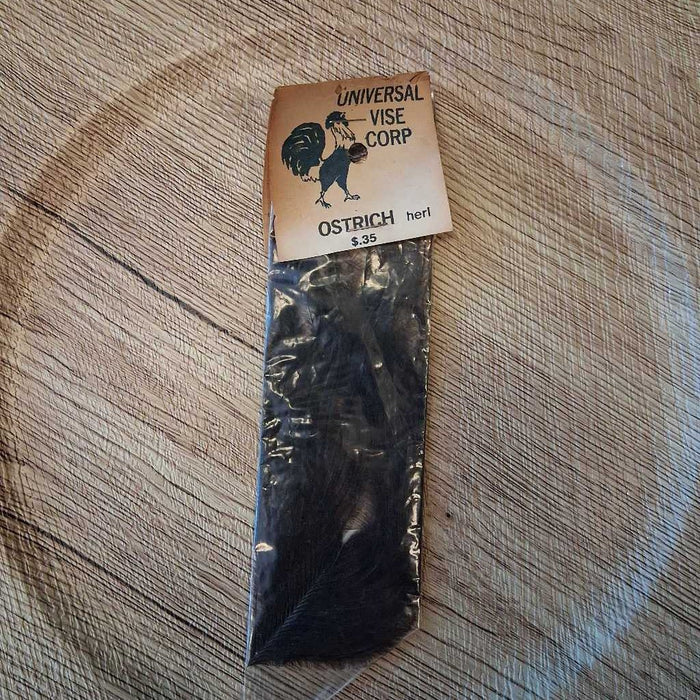 Ostrich