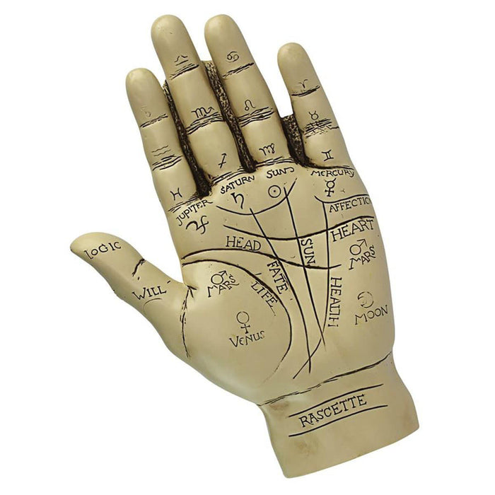 Palmistry Hand Sculpture