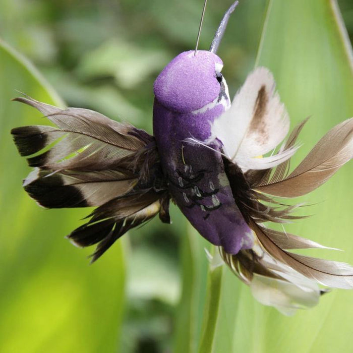 Solar Power Vibration Dancing Fluttering Hummingbird Birds - foxberryparkproducts
