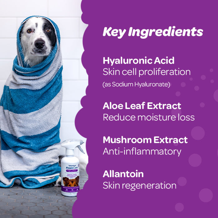 Spray-On Pet Shampoo & Conditioner
