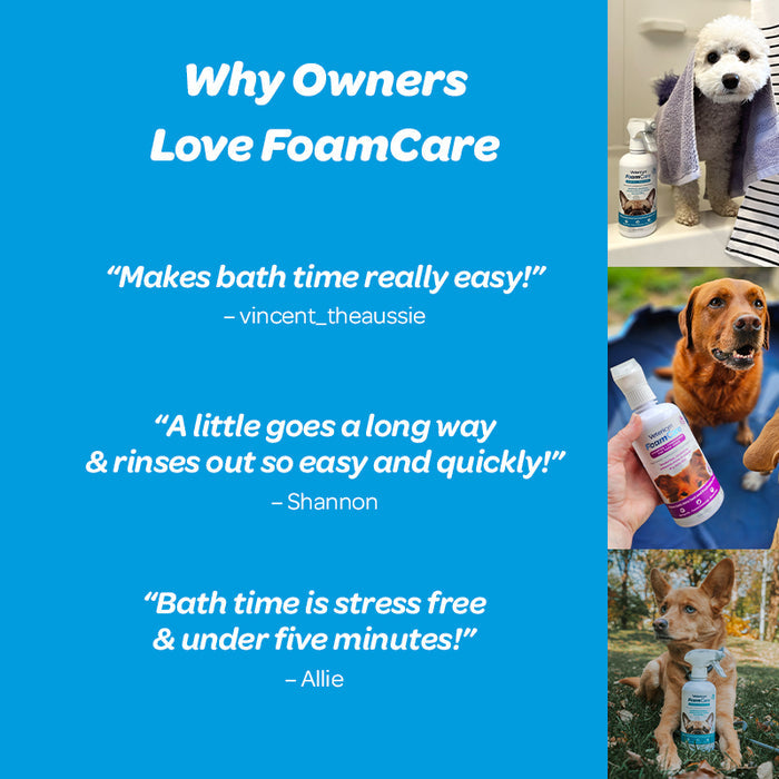 Spray-On Pet Shampoo & Conditioner